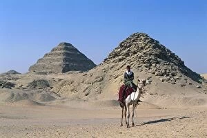 Egypt, Memphis, Saqquara necropolis, Zoser, Bedouin on camel beside step pyramids of Djoser and Userkaf