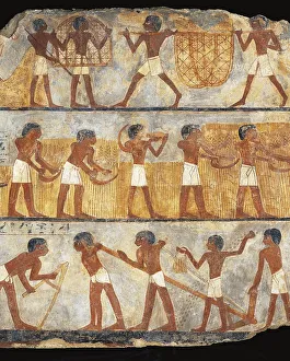 Egypt, Thebes, Tomb of Unsu, Scene of sowing and harvesting, wall painting Egypt, Thebes, Tomb of Unsu, Scene of sowing and harvesting, wall painting