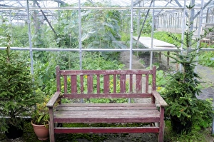 England, Lancashire, Wooden bench by greenhouse England, Lancashire, Wooden bench by greenhouse