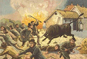 Farmer's wife letting out a bull to frighten off agricultural workers attacking a Farmer's wife letting out a bull to frighten off agricultural workers attacking a