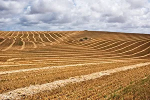 Farmland