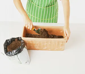 Filling a clay window box with soil Filling a clay window box with soil
