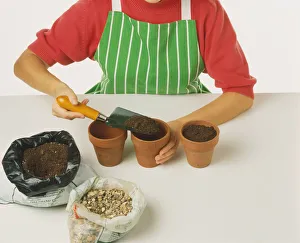 Filling pot to the top with seed compost Filling pot to the top with seed compost