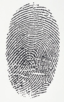 <b class=qtipBold><figcaption>Fingerprint</figcaption></b><br>Fingerprint.<br><em>© Dorling Kindersley/UIG</em> Fingerprint