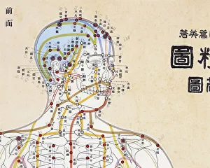 Focal points of the human body. The head. Watercolor Focal points of the human body. The head. Watercolor