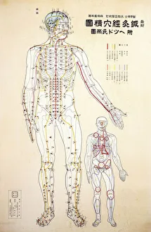 Focal points of the human body, front view, watercolor Focal points of the human body, front view, watercolor