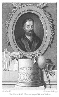 Francois Rabelais (1495-1553) French satirist. Obtained medical degree at Montpellier Francois Rabelais (1495-1553) French satirist. Obtained medical degree at Montpellier