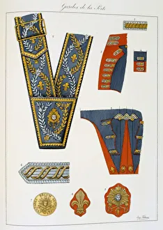 French military accoutrements and standards of the royal guard. From Histoire de French military accoutrements and standards of the royal guard. From Histoire de