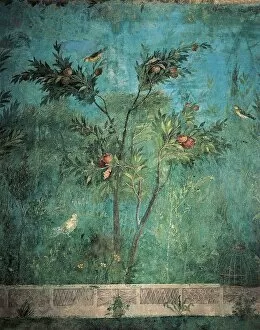 Images Dated 13th March 2014: Fresco depicting garden with fruit trees and birds, detail of pomegranate tree, from Rome