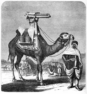 Gatling rapid fire gun (1861-62): Camel-mounted model. From The Science Record New York Gatling rapid fire gun (1861-62): Camel-mounted model. From The Science Record New York