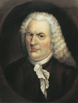 クラシック A Portrait of Bach Portrait of Johann Christian Bach - Wikipedia