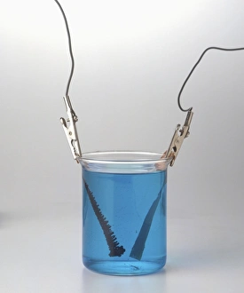 Glass beaker containing copper strips connected to electrodes in copper sulphate solution Glass beaker containing copper strips connected to electrodes in copper sulphate solution
