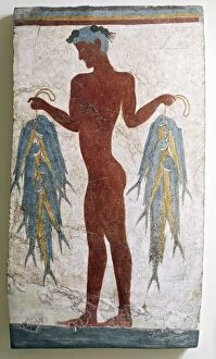 Images Dated 13th March 2014: Greek civilization, fresco depicting fisherman, from Akrotiri, Thera, Santorini, Greece