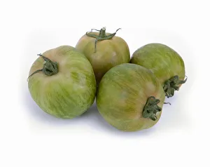 <b class=qtipBold><figcaption>Four green tomatoes, close-up</figcaption></b><br><em>© Dorling Kindersley/UIG</em> Four green tomatoes, close-up