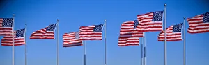 Group of American flags waving, Liberty State Park, New Jersey Group of American flags waving, Liberty State Park, New Jersey