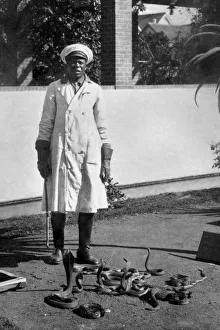 Guard of Serotherapeutic institute. Poisonous Cobras and Snakes. Port Elizabeth Guard of Serotherapeutic institute. Poisonous Cobras and Snakes. Port Elizabeth
