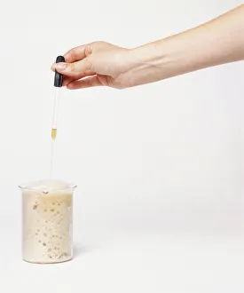 Hand dropping acid on sodium hydrogencarbonate causing it to fizz and bubble Hand dropping acid on sodium hydrogencarbonate causing it to fizz and bubble