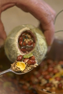 Hand filling mould with mix seeds for preparing bird-seed balls Hand filling mould with mix seeds for preparing bird-seed balls