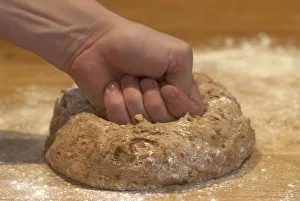 <b class=qtipBold><figcaption>Hand kneading dough</figcaption></b><br><em>© Dorling Kindersley/UIG</em> Hand kneading dough