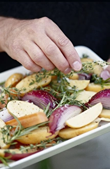Hands sprinkling sprigs of fresh thyme over vegetables prepared for roasting Hands sprinkling sprigs of fresh thyme over vegetables prepared for roasting