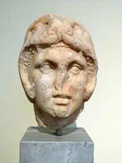 Head of Alexander the Great