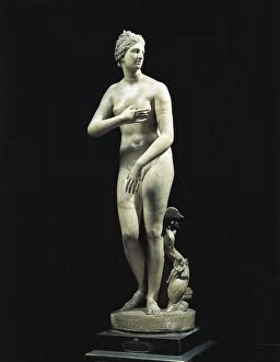 Images Dated 13th March 2014: Hellenistic marble statue known as Medici Venus