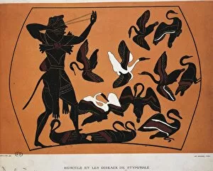 Heracles and birds, drawing from vase, black-figure pottery