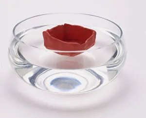 A hollowed out piece of plasticine shaped as a bowl floating in a bowl of water A hollowed out piece of plasticine shaped as a bowl floating in a bowl of water