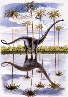 Illustration of Alamosaurus on lake shore Illustration of Alamosaurus on lake shore
