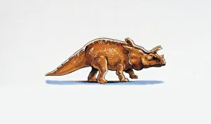 <b class=qtipBold><figcaption>Illustration of Arrhinoceratops</figcaption></b><br>Palaeozoology - Cretaceous period - Dinosaurs - Arrhinoceratops - Art work<br><em>© DEA PICTURE LIBRARY</em> Illustration of Arrhinoceratops