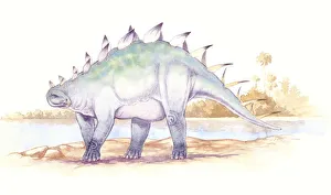 <b class=qtipBold><figcaption>Illustration of Dacentrurus</figcaption></b><br>Palaeozoology - Jurassic period - Dinosaurs - Dacentrurus - Art work<br><em>© DEA PICTURE LIBRARY</em> Illustration of Dacentrurus