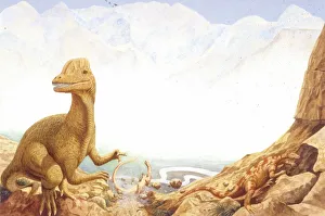 <b class=qtipBold><figcaption>Illustration of Dilophosaurus</figcaption></b><br>Palaeozoology - Jurassic period - Dinosaurs - Dilophosaurus - Art work<br><em>© DEA PICTURE LIBRARY</em> Illustration of Dilophosaurus