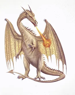 <b class=qtipBold><figcaption>Illustration of Dragon</figcaption></b><br>Mythology - Fanciful animals - Dragon - Art work<br><em>© DEA PICTURE LIBRARY</em> Illustration of Dragon