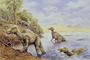 Illustration of Edmontosaurus getting out of lake Illustration of Edmontosaurus getting out of lake