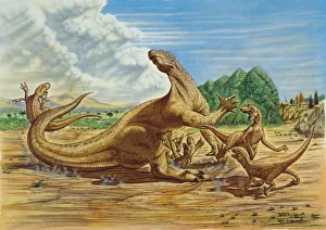 Illustration of Iguanodon fighting Illustration of Iguanodon fighting