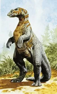 Illustration of Kritosaurus