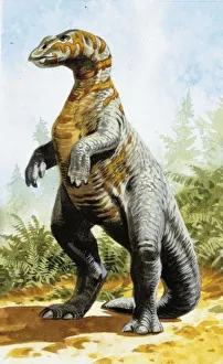 <b class=qtipBold><figcaption>Illustration of Kritosaurus</figcaption></b><br>Palaeozoology - Cretaceous period - Dinosaurs - Kritosaurus - Art work<br><em>© DEA PICTURE LIBRARY</em> Illustration of Kritosaurus
