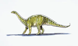 <b class=qtipBold><figcaption>Illustration of Melanosaurus</figcaption></b><br>Palaeozoology - Triassic period - Dinosaurs - Melanosaurus - Art work<br><em>© DEA PICTURE LIBRARY</em> Illustration of Melanosaurus