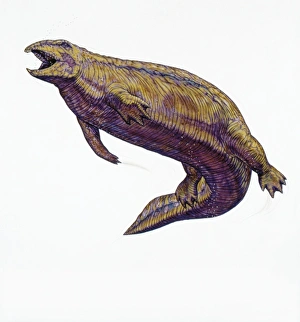 <b class=qtipBold><figcaption>Illustration of Placodus</figcaption></b><br>Palaeozoology - Triassic period - Reptiles - Placodus - Art work<br><em>© DEA PICTURE LIBRARY</em> Illustration of Placodus