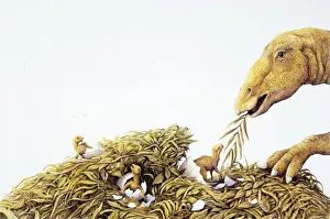 Illustration representing Maiasaura with young in nest Illustration representing Maiasaura with young in nest