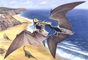 Illustration representing pair of Tropeognathus flying above seashore Illustration representing pair of Tropeognathus flying above seashore