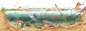 Illustration representing watertight ecosystem Illustration representing watertight ecosystem