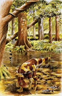 <b class=qtipBold><figcaption>Illustration of Segnosaurus</figcaption></b><br>Palaeozoology - Cretaceous period - Dinosaurs - Segnosaurus - Art work<br><em>© DEA PICTURE LIBRARY</em> Illustration of Segnosaurus