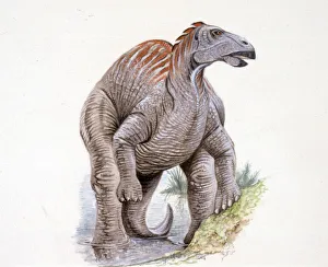 <b class=qtipBold><figcaption>Illustration of Telmatosaurus</figcaption></b><br>Palaeozoology - Cretaceous period - Dinosaurs - Telmatosaurus - Art work<br><em>© DEA PICTURE LIBRARY</em> Illustration of Telmatosaurus