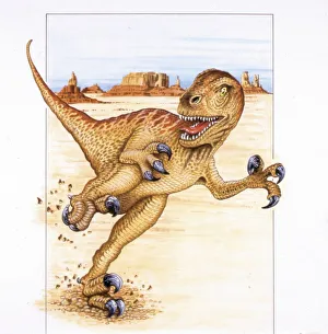 <b class=qtipBold><figcaption>Illustration of Utahraptor</figcaption></b><br>Palaeozoology - Cretaceous period - Dinosaurs - Utahraptor - Art work<br><em>© DEA PICTURE LIBRARY</em> Illustration of Utahraptor