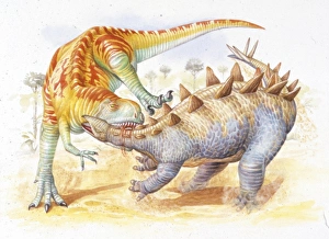 Illustration of Yangchuanosaurus fighting Illustration of Yangchuanosaurus fighting
