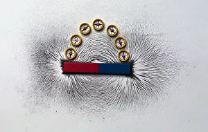 Iron filings and plotting compasses reveal the lines of magnetic force around a magnet. Clusters of filings around the poles (ends) of the magnet. The field is shown in one plane only, extending in a similar pattern in all directions around the magnet Iron filings and plotting compasses reveal the lines of magnetic force around a magnet. Clusters of filings around the poles (ends) of the magnet. The field is shown in one plane only, extending in a similar pattern in all directions around the magnet