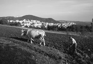 <b class=qtipBold><figcaption>Italy. Basilicata. Nova Siri</figcaption></b><br><em>© Marka/Universal Images Group</em> Italy. Basilicata. Nova Siri