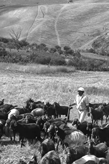 <b class=qtipBold><figcaption>Italy. Basilicata. Vulture</figcaption></b><br><em>© Marka/Universal Images Group</em> Italy. Basilicata. Vulture
