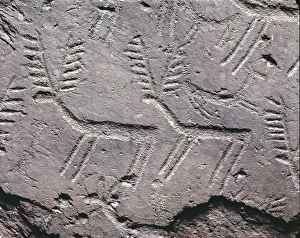 Italy, Lombardy Region, Rock drawings in Valcamonica, Capo di Ponte, Brescia province Italy, Lombardy Region, Rock drawings in Valcamonica, Capo di Ponte, Brescia province